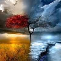 5 Consejos para Cambiar las Cosas