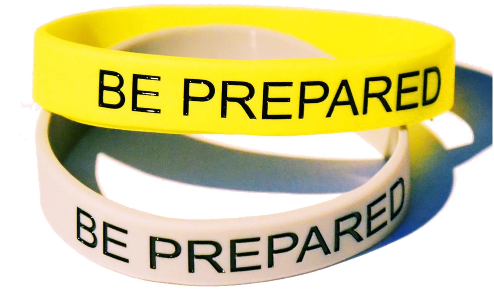 Artículo 30 Imagen 1