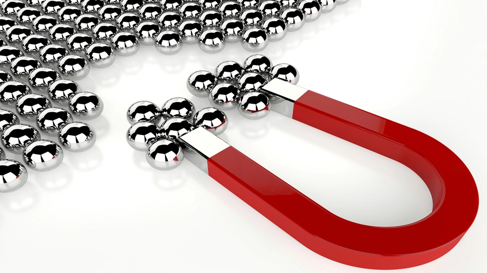 Artículo 30 Imagen 2