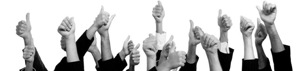 Artículo 30 Imagen 2