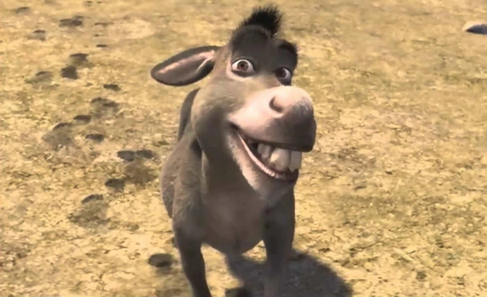 Artículo 40 Imagen 1