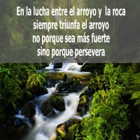 La Importancia de la Perseverancia