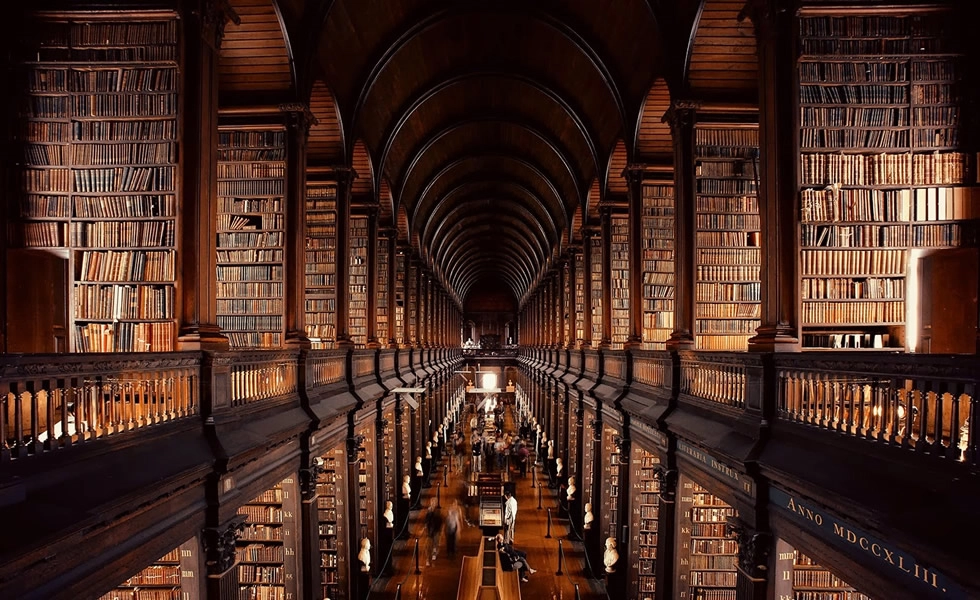 Artículo 46 Imagen 1