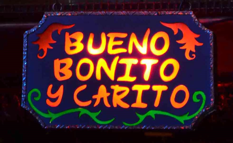 Artículo 49 Imagen 1