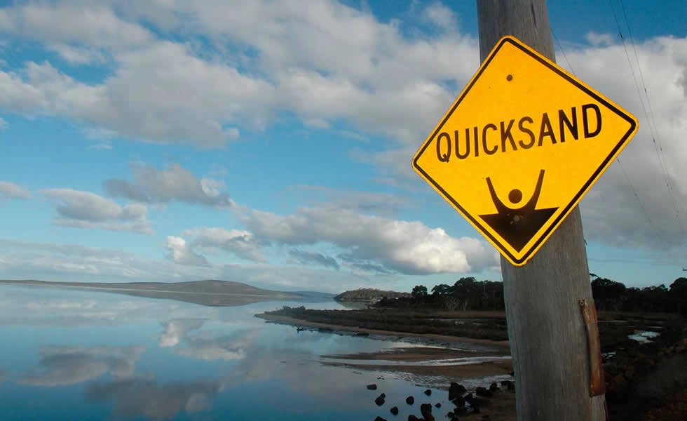 Artículo 49 Imagen 1