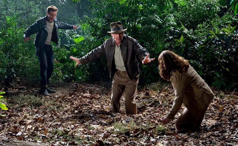 Artículo 50 Imagen 2