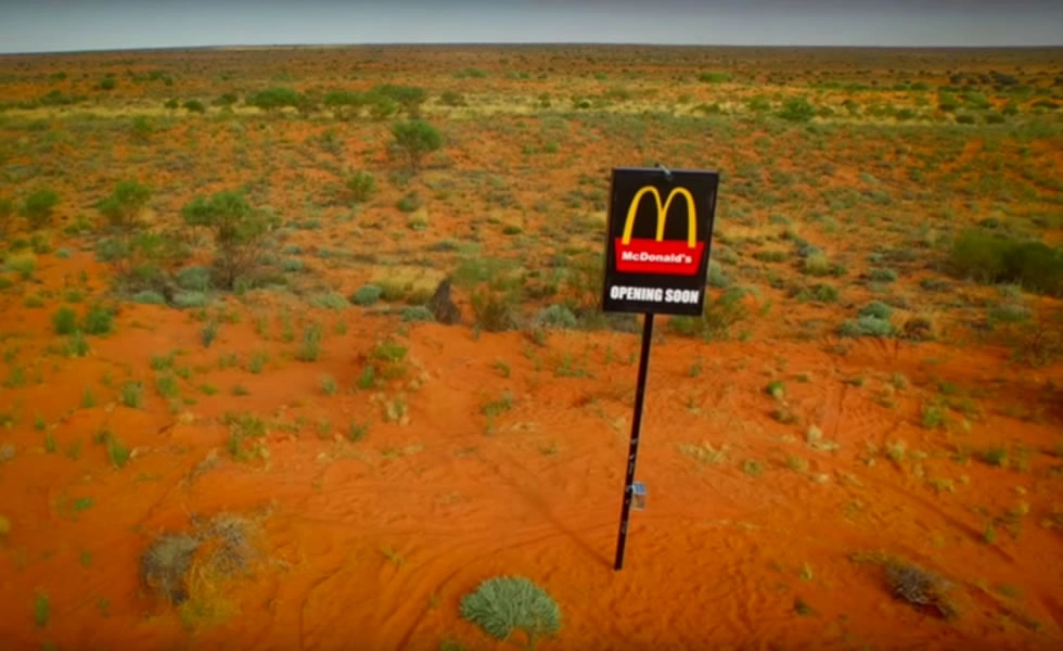 Artículo 51 Imagen 1