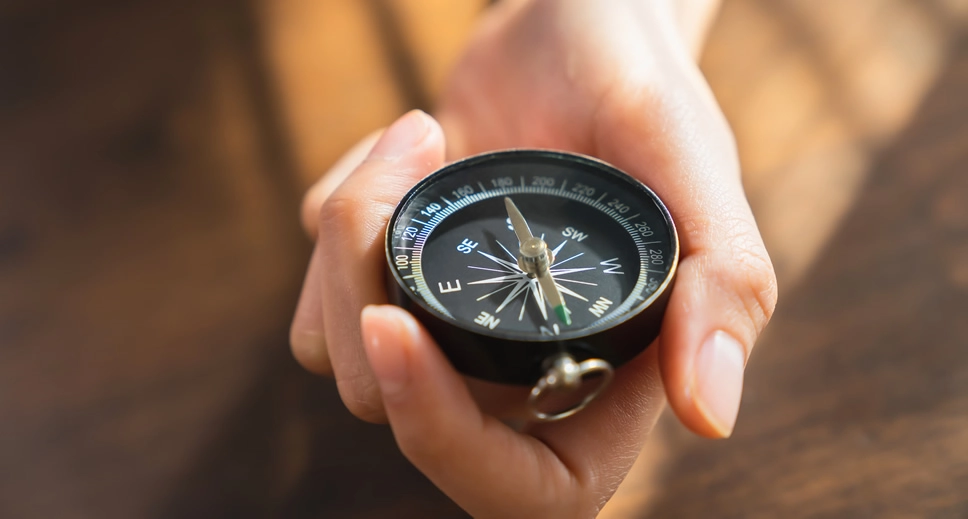 Artículo 56 Imagen 2