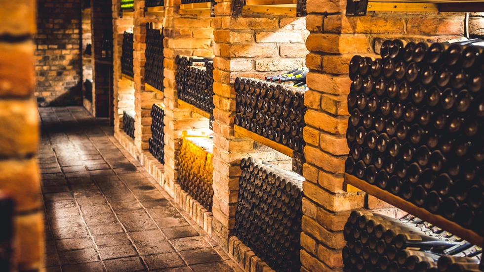 Artículo 72 Imagen 2