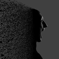 La Esquizofrenia en la Gestión